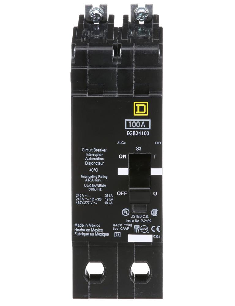 EGB24100 - Square D 100 Amp 2 Pole 480 Volt Bolt-On Circuit Breaker
